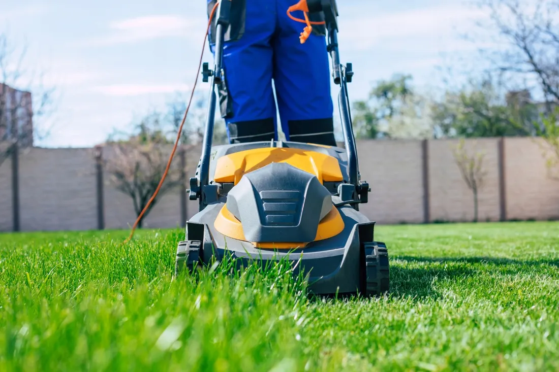 laka-kwietna-5kg-kwietny-trawnik-mieszanka-nasion-z-kwiatami-miododajna