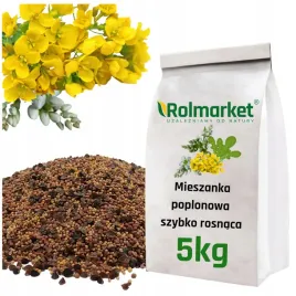 mieszanka-poplonowa-5kg-roslina-na-poplon-szybko-rosnaca-nasiona-gorczyca