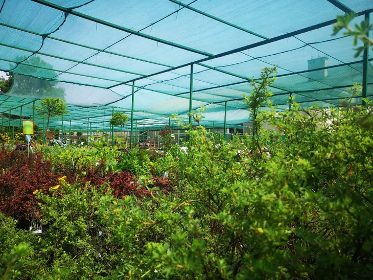 siatka-cieniujaca-4x60m-42percent-dzianina-oslonowa-maskujaca-ogrodzenie-mata-rodzaj-siatka