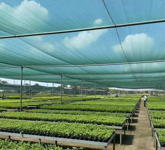 siatka-cieniujaca-4x60m-42percent-dzianina-oslonowa-maskujaca-ogrodzenie-mata-producent-grandinet