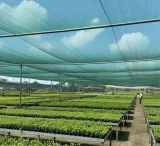 siatka-cieniujaca-4x60m-42percent-dzianina-oslonowa-maskujaca-ogrodzenie-mata-producent-grandinet