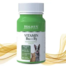 holista-vitamin-b12-b3-90-szt-tabletek