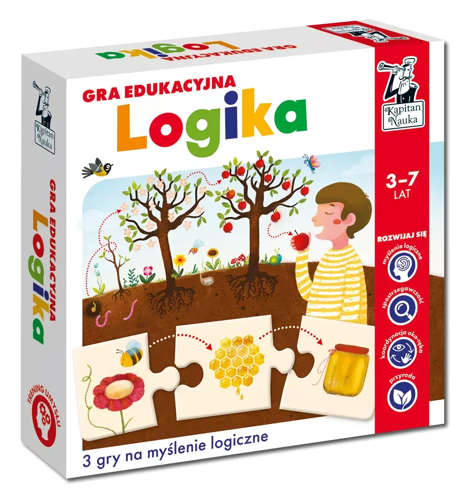 gra-edukacyjna-logika