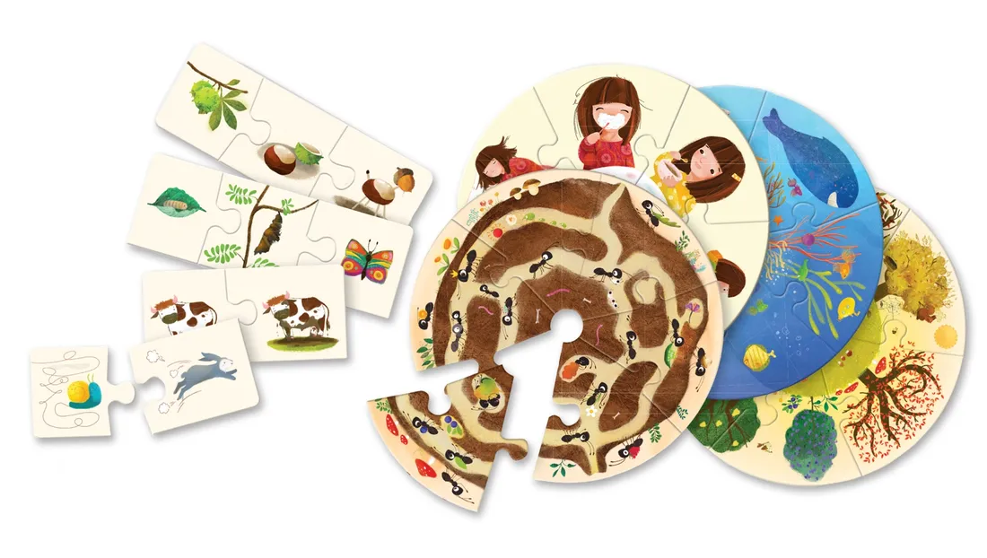 gra-edukacyjna-logika-stan-nowy