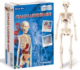 naukowa-zabawa-cialo-ludzkie-mini
