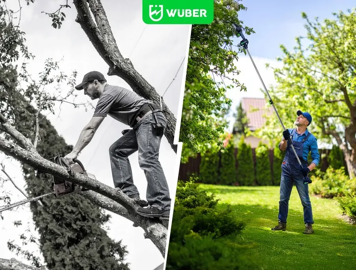 pila-lancuchowa-akumulatorowa-mini-pilarka-galeziowka-2xaku-stan-nowy-seria-wr-ccs-21v