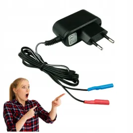 ladowarka-do-pastucha-zasilacz-do-elektryzatora-bateryjnego-akumulatorowy