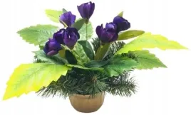 bukiet-stroik-na-cmentarz-dla-grob-bliskich-krokus-ciezka-doniczka-wiazanka