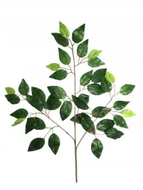 galazki-lisci-fikus-do-stroiki-bukiety-kompozycja