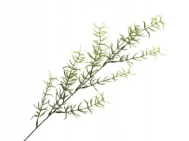 sztuczny-asparagus-galazka-do-kompozycji-stroik