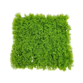 bioplant-background-mata-sztuczna-tlo-modulowe-do-terrarium-chrobotek-jasny
