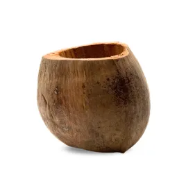 biococo-pot-doniczka-kokosowa-oslonka-z-kokosu-na-storczyki-epifity