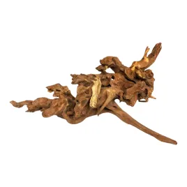 bioroot-coral-wood-m-20-40cm-koralowy-korzen-do-terrarium-i-akwarium