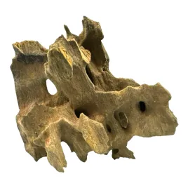 bioroot-dragon-wood-s-10-20cm-smoczy-korzen-do-terrarium-i-akwarium