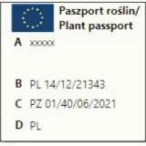 agrest-ukrainski-pomaranczowy-duze-slodkie-owoce-bardzo-plenny-stan-nowy