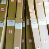 agrest-ukrainski-pomaranczowy-duze-slodkie-owoce-bardzo-plenny-rodzaj-rosliny-agrest