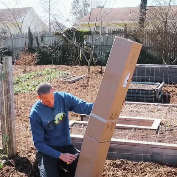 agrest-ukrainski-pomaranczowy-duze-slodkie-owoce-bardzo-plenny-stan-opakowania-oryginalne