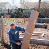 agrest-ukrainski-pomaranczowy-duze-slodkie-owoce-bardzo-plenny-stan-opakowania-oryginalne