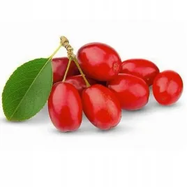 mrozoodporny-deren-jadalny-na-nalewke-i-konfitury-cornus-mas-20-nasion