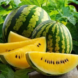 zolty-arbuz-luteo-f1-soczysty-slodki-smaczny-citrulus-lanatus-7-nasion