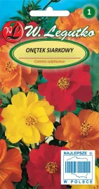 kosmos-onetek-siarkowy-cosmos-sulphureus-nasiona-1-g