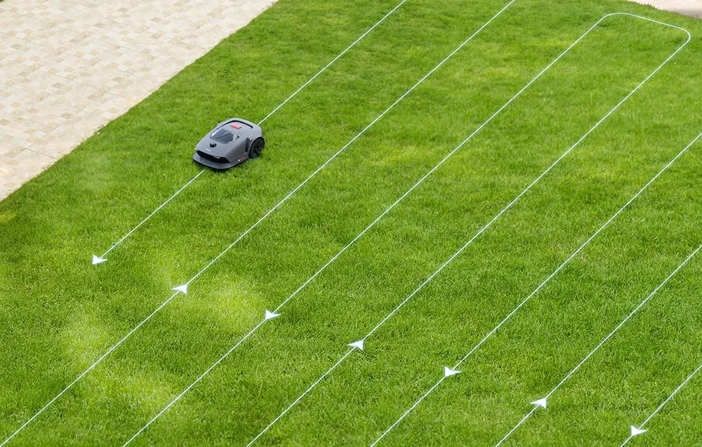 robot-koszacy-mova-600