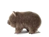 wwf-wombat-torbacz-28-cm-stan-nowy