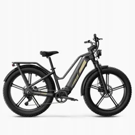 rower-elektryczny-fiido-titan-fatbike