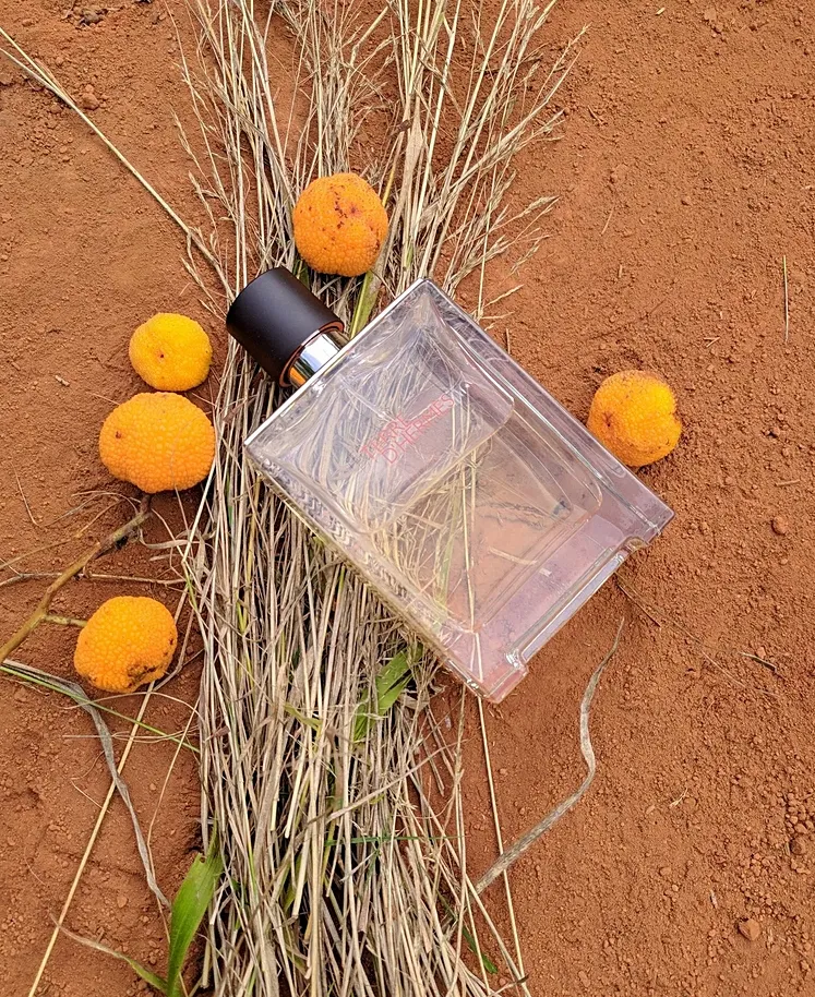 hermes-terre-d-hermes-edt-100ml-zel-80ml-oryginal