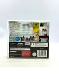 cats-academy-nintendo-ds-pal-wersja-gry-pudelkowa