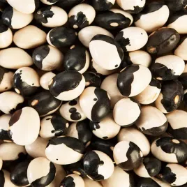 fasola-szparagowa-karlowa-yin-yang-zielona-bezwloknista-18-nasion