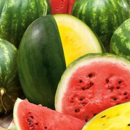 arbuz-mix-odmian-i-kolorow-citrullus-lanatus-10-nasion