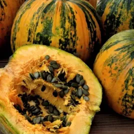 dynia-olbrzymia-bezlupinowa-olga-o-jadalnych-kwiatach-14-nasion