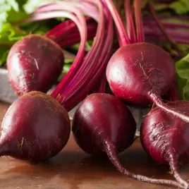 burak-cwiklowy-czerwona-kula-2-wczesny-850-nasion-beta-vulgaris-l