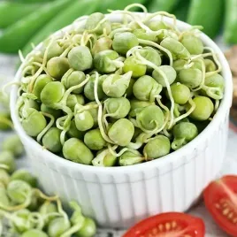 nasiona-na-kielki-groch-cukrowy-duza-zawartosc-witaminy-a-c-i-d-50-gram