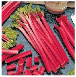 rabarbar-lider-duze-miesiste-pecy-rheum-rhaponticum-l-nasiona-70-sztuk