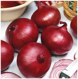 cebula-karmen-czerwona-slodko-pikantny-smak-srednio-pozna-nasiona-700-sztuk