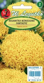 aksamitka-wysoka-fantastik-zolta-t-erecta-fl-pl-nasiona-03-g