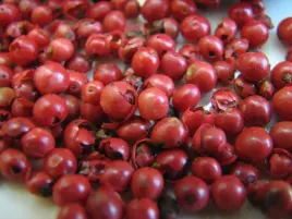pieprz-brazylijski-schinus-terebinthifolia-5-nasion