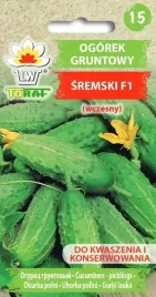 ogorek-sremski-f1-cucumis-sativus-l-odmiana-wczesna-5-gram-nasion
