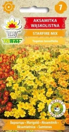 aksamitka-starfire-tagetes-tenuifolia-mix-kolorow-05-g-nasion