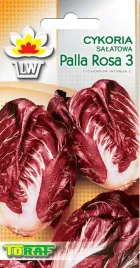 cykoria-salatowa-palla-rosa-3-cichorium-intybus-l-5-g