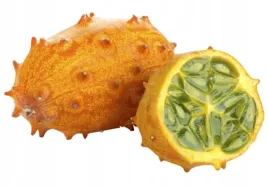 kiwano-ogorek-afrykanski-cucumis-metuliferus