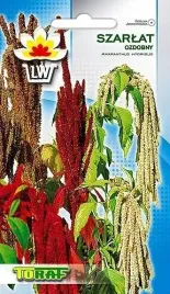 szarlat-ozdobny-wiechowaty-mix-kolorow