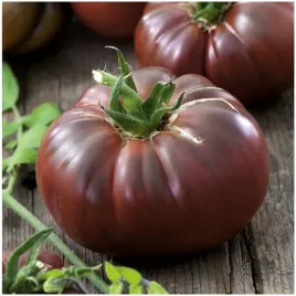 pomidor-wysoki-gruntowy-noire-de-crimee-czarny-ksiaze-nasiona-100-sztuk
