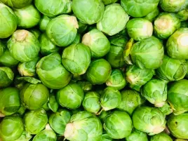 kapusta-brukselska-casiopea-brassica-oleracea-l-1g