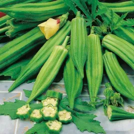 okra-ketmia-jadalna-20-nasion-egzotyczne-warzywo-hibiscus-esculentus