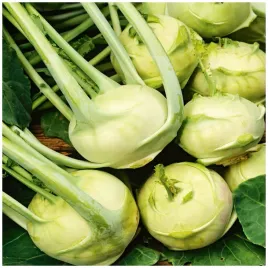 kalarepa-wiedenska-biala-brassica-oleracea-l-var-gonglodes-nasiona-2-g