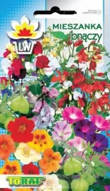 mieszanka-pnaczy-pnaca-mix-kolorow-2-g