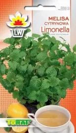 melisa-cytrynowa-limonella-melissa-officinalis
